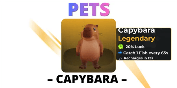 Capybara - Pets