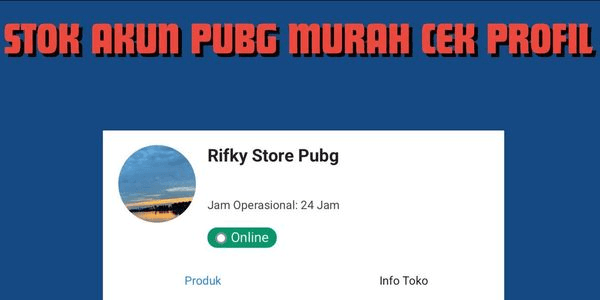 Gambar Product AKUN PUBG MOBILE TERMURAH