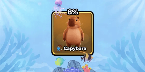Capybara - Pets