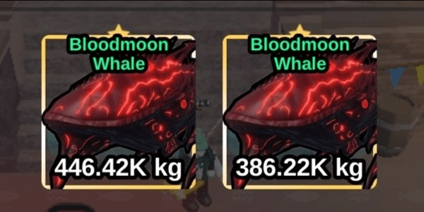 Gambar Product Bloodmoon Whale