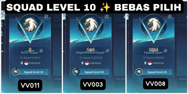 Gambar Product SQUAD ML LEVEL 10 / SQUAD LEVEL 10