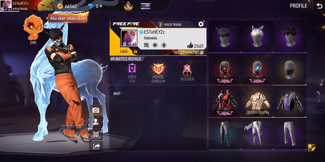 Product Showcase
