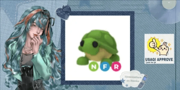 Turtle NFR