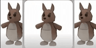 Kangaroo FR