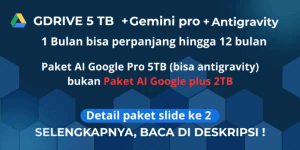 Gemini Pro + Google Drive Private 1 Month Warranty