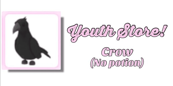 Gambar Product Crow