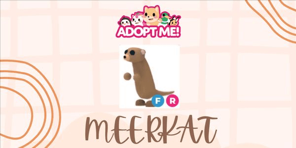 Gambar Product Meerkat FR