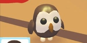 Gambar Product Owl FR