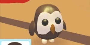 Owl FR