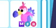 Gambar Product Dodo MFR