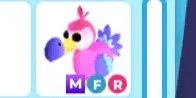 Dodo MFR