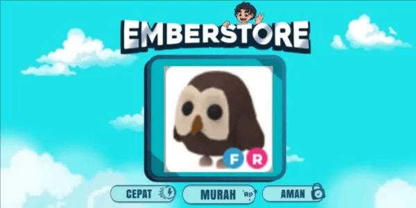 Owl FR