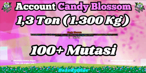 Account Grow A Garden | Instant Delivery #13