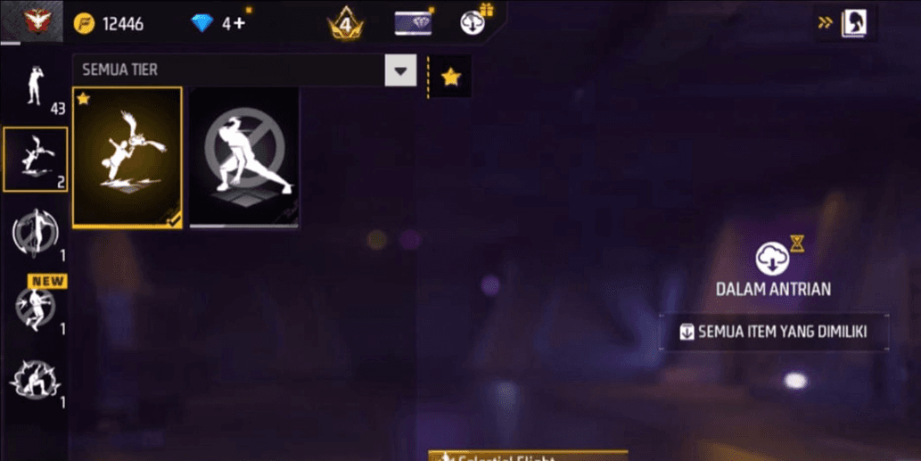 Product Showcase