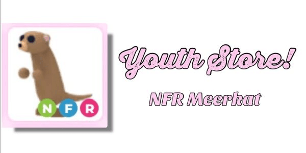 Gambar Product Meerkat NFR