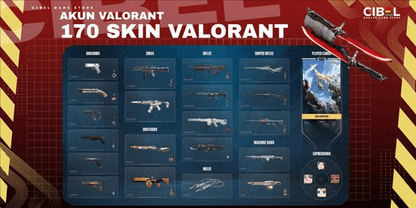 Gambar Product Akun Valorant 170 Skin (54 Skin Premium)