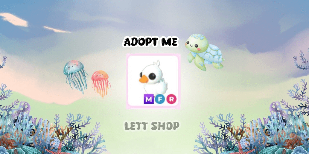 Product Showcase