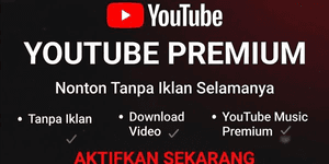 1 Month Premium