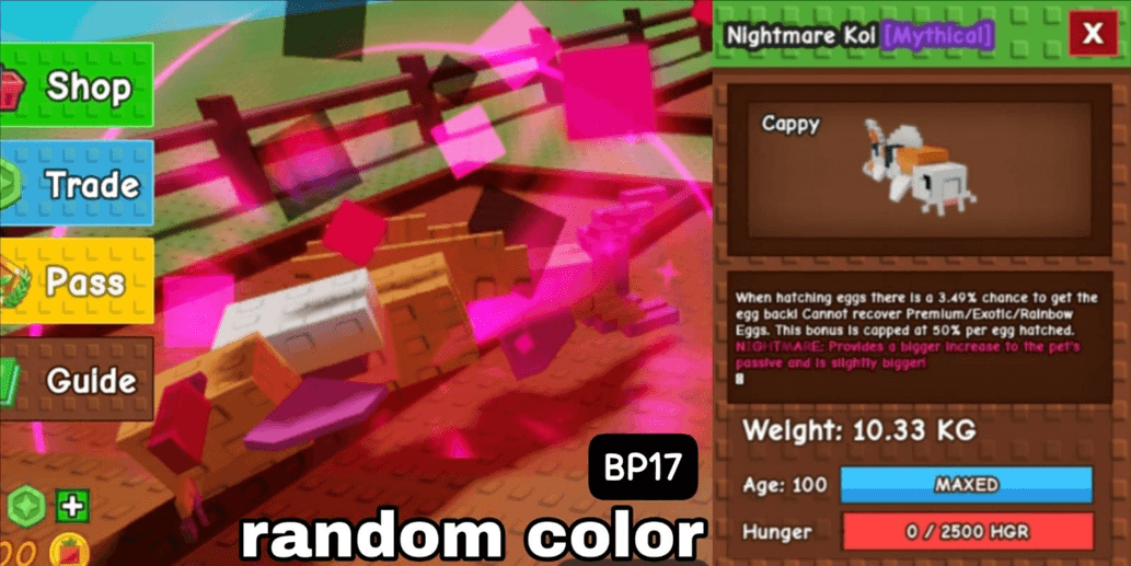 Product Showcase