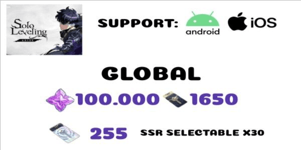 Gambar Product Akun Solo leveling Arise Global-1