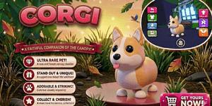 Corgi