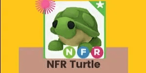 Turtle NFR