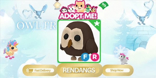 Owl