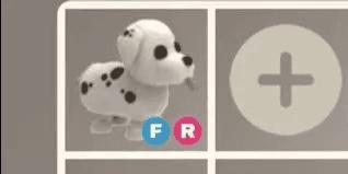 Dalmatian FR