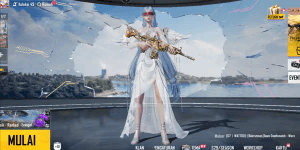 PUBG Mobile Account M416 Silver Guru Lv 7