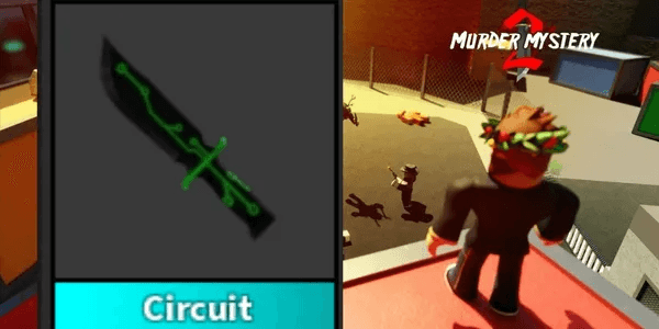 Circuit