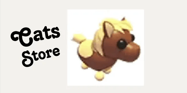 Shetland Pony Dark Brown