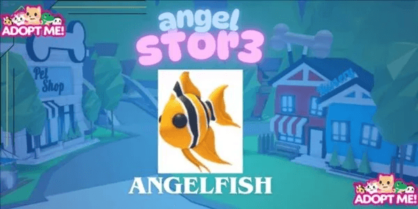 Angelfish