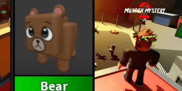Gambar Product Bear