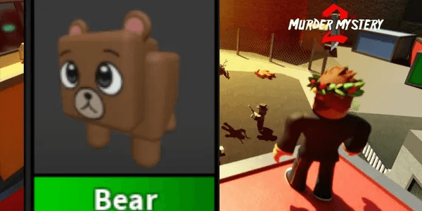 Bear