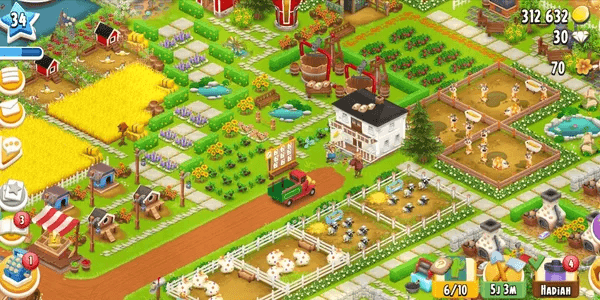 Farm Hay Day Level 30+
