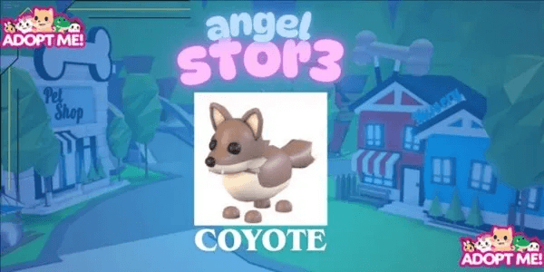 Coyote