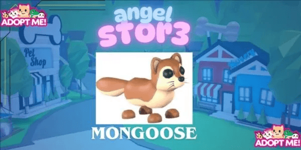 Mongoose