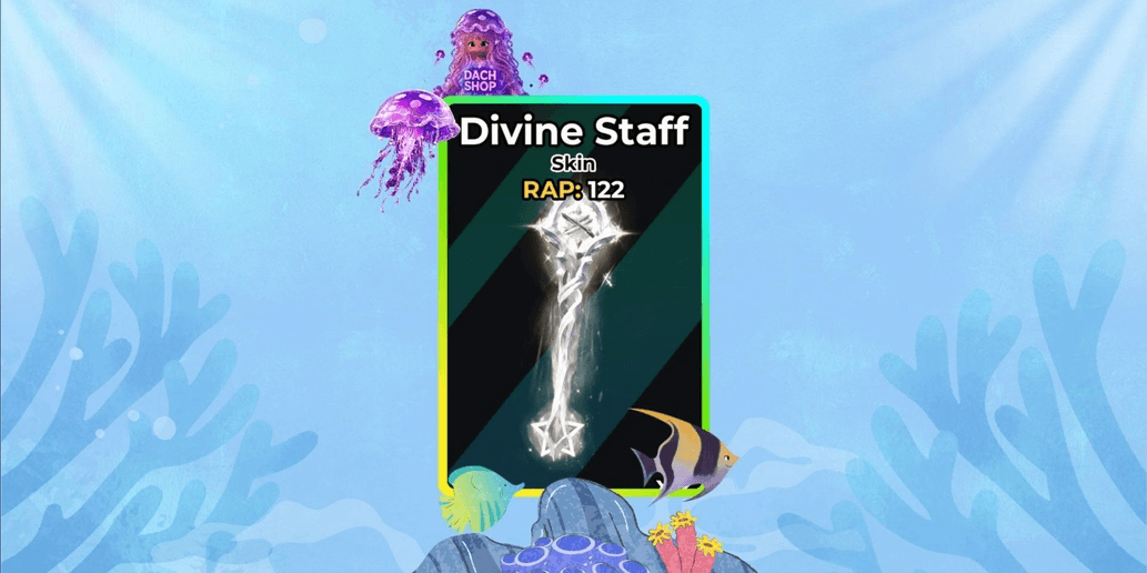 Product Showcase
