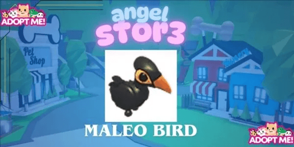 Maleo Bird