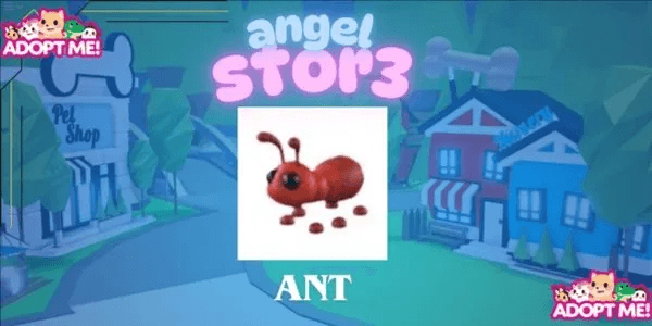 Ant