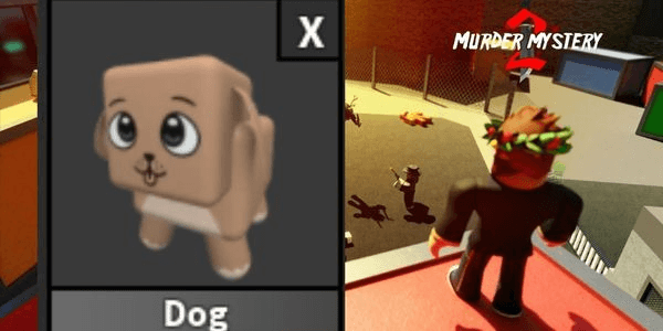 Gambar Product Dog