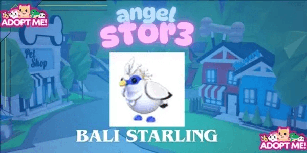 Bali Starling