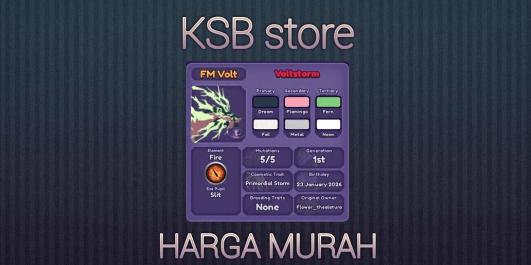 Product Showcase