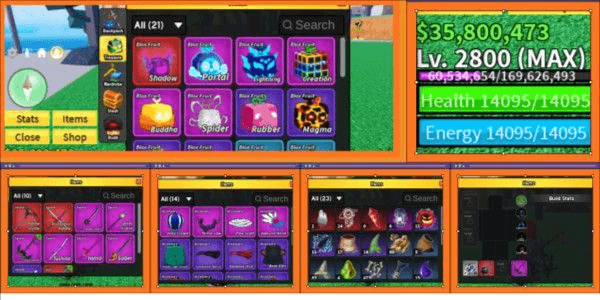 Product Showcase