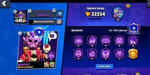 Brawl Stars Accounts || Many Max || Best Quality & Safe
