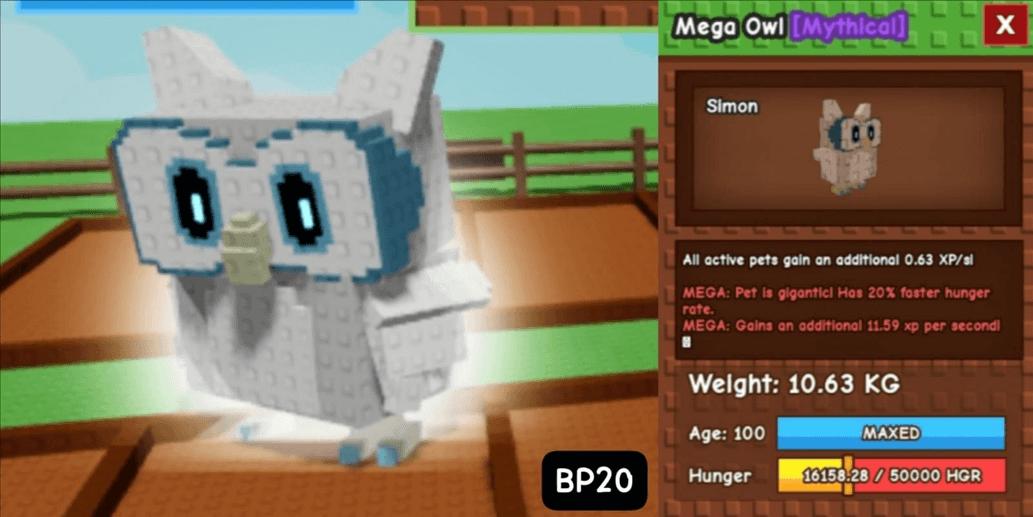 Product Showcase
