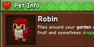 Robin