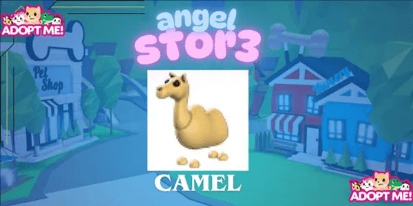 Camel