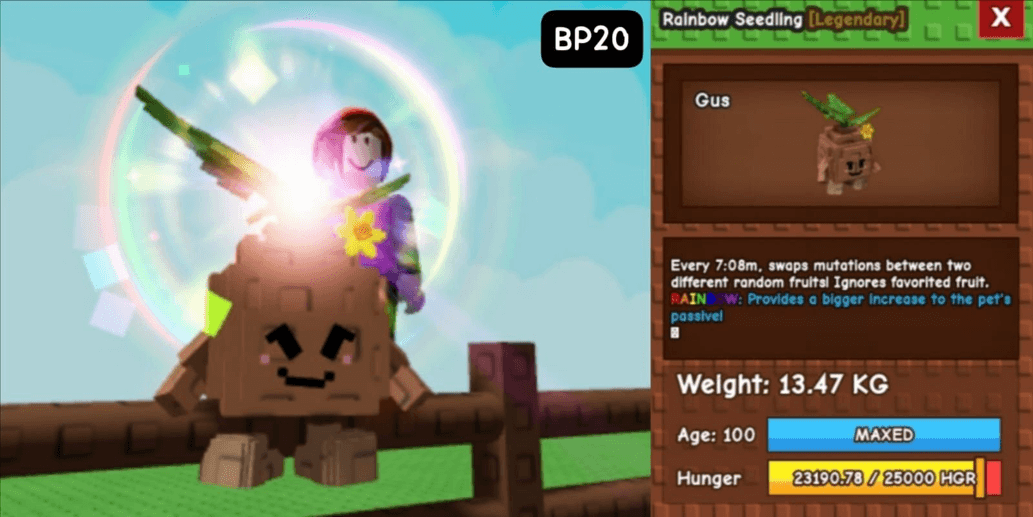 Product Showcase