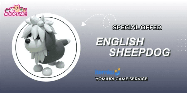 English Sheepdog